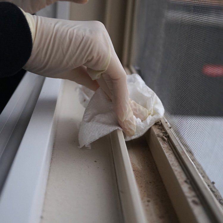 Cleaning Services in Major Texas Cities